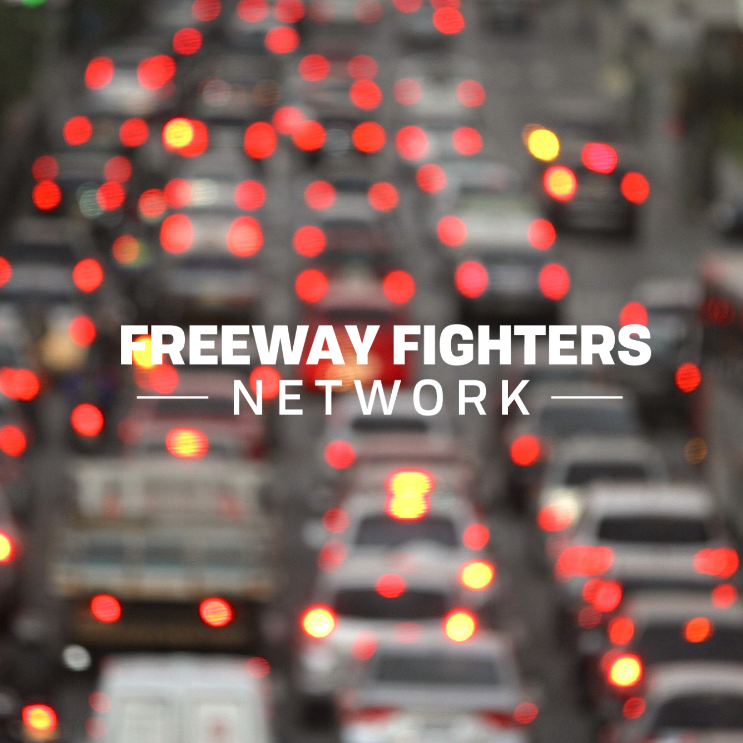 Freeway Fighters