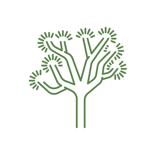 Yucca.png